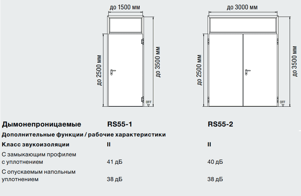 Размеры и дополнительные характеристики модели двери RS55 от Hormann